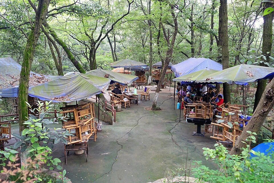 Mahjong and tea tables beneath trees at Chengdu Botanical Garden in Sichuan, China.
